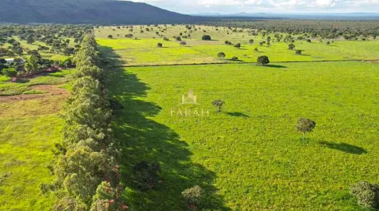 Fazenda / Sítio / Chácara com 3 Quartos à venda, 3600000m² no , Arinos
