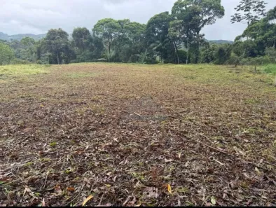 Terreno / Lote / Condomínio à venda, 4000m² no Centro, Águas Mornas