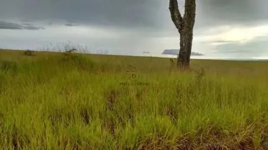 Fazenda / Sítio / Chácara com 2 Quartos à venda, 100m² no , Piedade