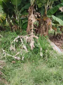 Terreno / Lote / Condomínio à venda, 953m² no Santa Teresa, Santa Branca