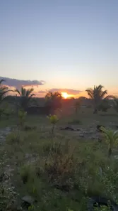 Fazenda / Sítio / Chácara com 2 Quartos à venda, 340m² no Centro, Camaçari