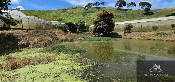 Fazenda / Sítio / Chácara com 4 Quartos à venda, 7395m² no Avelar, Paty do Alferes