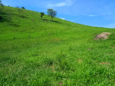Terreno / Lote / Condomínio à venda, 210000m² no , Areal