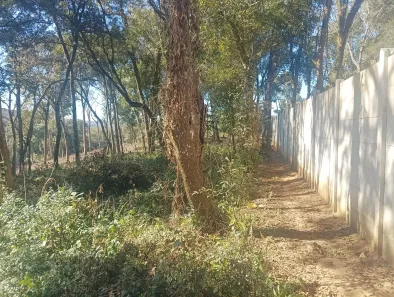 Terreno / Lote / Condomínio à venda, 4451m² no Jardim Boa Vista, Campo Magro