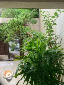 Sobrado com 3 Quartos à venda, 120m² no Jardim Paraíso, São Paulo