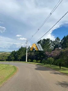 Terreno / Lote / Condomínio à venda, 1000m² no Piedade, Piedade