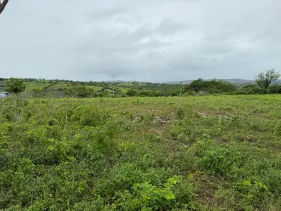 Fazenda / Sítio / Chácara à venda, 50000m² no Área Rural de Gravatá, Gravatá