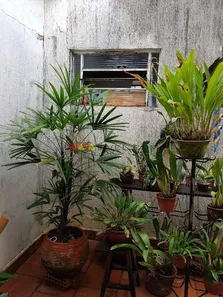 Casa com 3 Quartos à venda, 150m² no Núcleo Urbano Lageado Portal dos Nobres, Ipeúna
