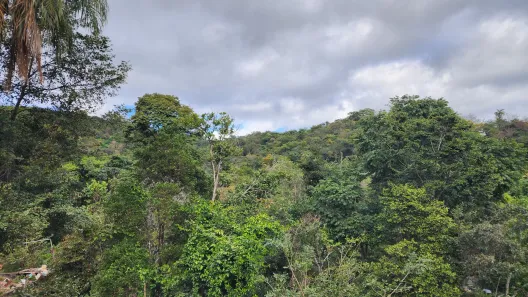 Fazenda / Sítio / Chácara à venda, 2401m² no Bom Destino, Santa Luzia