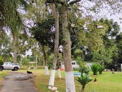 Fazenda / Sítio / Chácara à venda, 13000m² no Guaragi, Ponta Grossa