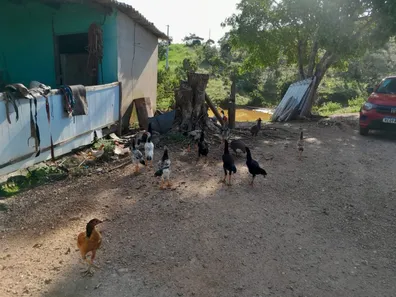 Fazenda / Sítio / Chácara com 2 Quartos à venda, 10160000m² no , Padre Bernardo