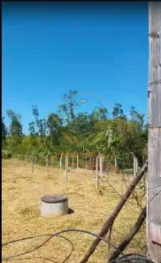 Fazenda / Sítio / Chácara com 3 Quartos à venda, 1400m² no Chácara Marambaia, Caçapava
