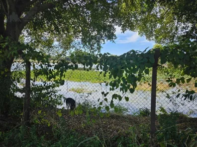 Fazenda / Sítio / Chácara com 1 Quarto para venda ou aluguel, 245m² no Parque da Figueira, Paulínia