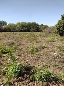 Terreno / Lote / Condomínio para venda ou aluguel, 5000m² no Recreio das Acácias, Ribeirão Preto