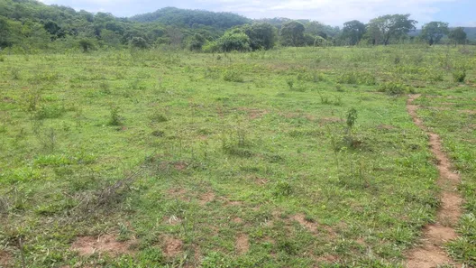 Fazenda / Sítio / Chácara à venda, 5808000m² no , Padre Bernardo