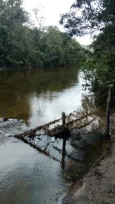 Fazenda / Sítio / Chácara com 5 Quartos à venda, 470000m² no Centro, Formosa