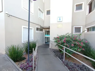 Apartamento com 2 Quartos para alugar, 50m² no Jardim Residencial Paraíso, Araraquara