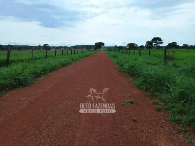 Fazenda / Sítio / Chácara à venda, 76850000m² no , Formoso do Araguaia