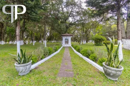 Fazenda / Sítio / Chácara com 4 Quartos para venda ou aluguel, 380m² no Cachoeira, São José dos Pinhais
