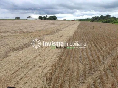 Fazenda / Sítio / Chácara à venda, 683m² no Centro, Divinópolis do Tocantins