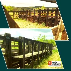 Fazenda / Sítio / Chácara à venda, 586000m² no Centro, Nossa Senhora das Dores