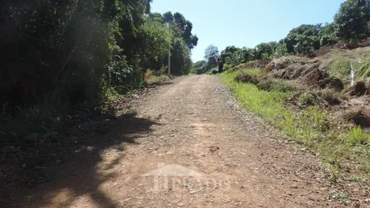 Fazenda / Sítio / Chácara à venda, 2450m² no Condomínio Horizontal Marajoara, Ibiporã