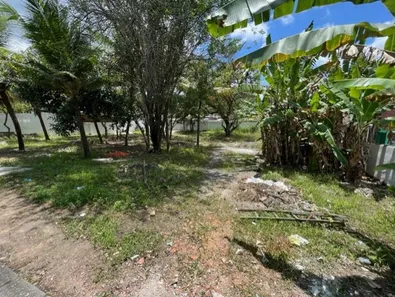 Casa com 4 Quartos à venda, 1500m² no Santo Aleixo, Jaboatão dos Guararapes