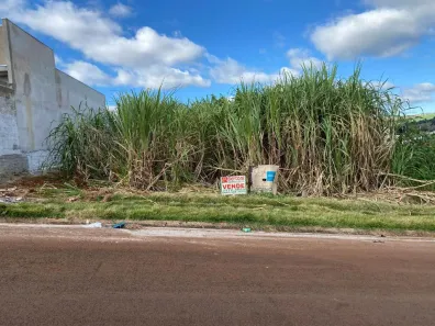 Terreno / Lote / Condomínio à venda, 260m² no Loteamento Metropolitam, Arapongas