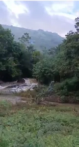 Fazenda / Sítio / Chácara à venda, 2000m² no , Joaquim Gomes