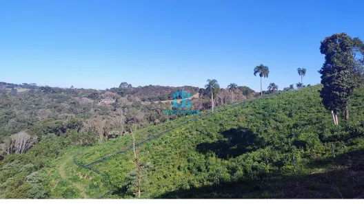 Fazenda / Sítio / Chácara à venda, 20155m² no Itaqui de Cima, Campo Largo