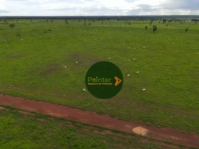 Fazenda / Sítio / Chácara com 3 Quartos à venda, 49029200m² no , Lagoa da Confusão