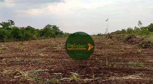 Fazenda / Sítio / Chácara à venda, 2041875m² no , Pium