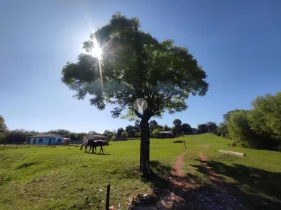 Fazenda / Sítio / Chácara com 2 Quartos à venda, 35000m² no Boi Morto, Santa Maria