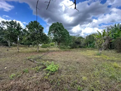 Fazenda / Sítio / Chácara com 4 Quartos à venda, 4981m² no Área Rural de Gravatá, Gravatá