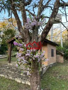 Fazenda / Sítio / Chácara com 7 Quartos à venda, 500m² no Chácara Marambaia, Caçapava