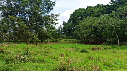 Fazenda / Sítio / Chácara com 3 Quartos à venda, 310000000m² no , Paraíso do Tocantins