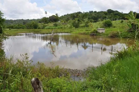 Fazenda / Sítio / Chácara com 5 Quartos à venda, 16000m² no , Conde