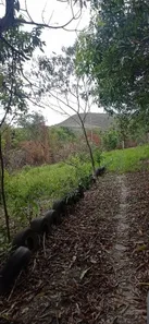 Fazenda / Sítio / Chácara com 3 Quartos à venda, 5000m² no Parque da Barragem Setor 08, Águas Lindas de Goiás