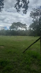 Terreno / Lote / Condomínio à venda, 1140m² no , Pirenópolis