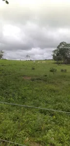 Fazenda / Sítio / Chácara à venda, 86757000m² no , Guaraí