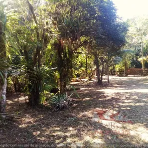 Fazenda / Sítio / Chácara com 1 Quarto à venda, 12900m² no , Antonina