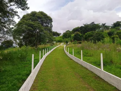 Fazenda / Sítio / Chácara com 3 Quartos à venda, 32176m² no Área Rural de Campo Largo, Campo Largo