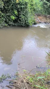 Fazenda / Sítio / Chácara à venda, 55000m² no Arapoanga, Brasília