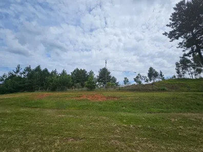 Terreno / Lote Comercial para alugar, 43687m² no Colônia Maria José, Quatro Barras