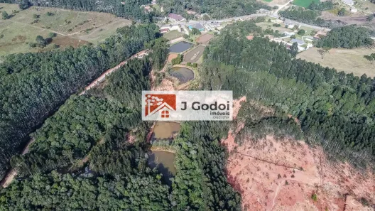 Fazenda / Sítio / Chácara com 6 Quartos à venda, 1000m² no Santa Gema, Colombo