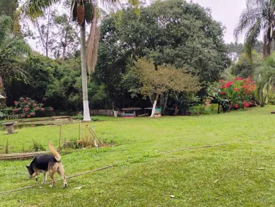 Fazenda / Sítio / Chácara à venda, 13000m² no Guaragi, Ponta Grossa