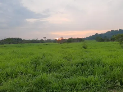Fazenda / Sítio / Chácara à venda, 16100000m² no , Tacuru