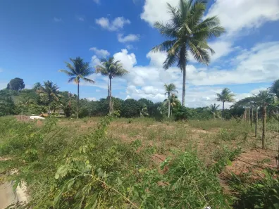 Terreno / Lote / Condomínio à venda, 500m² no Barra do Pojuca (Monte Gordo), Camaçari