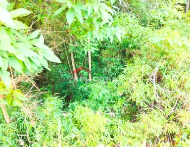 Fazenda / Sítio / Chácara com 1 Quarto à venda, 23600m² no Passaúna, Araucária