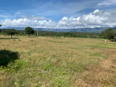 Fazenda / Sítio / Chácara à venda, 828m² no , Paranã